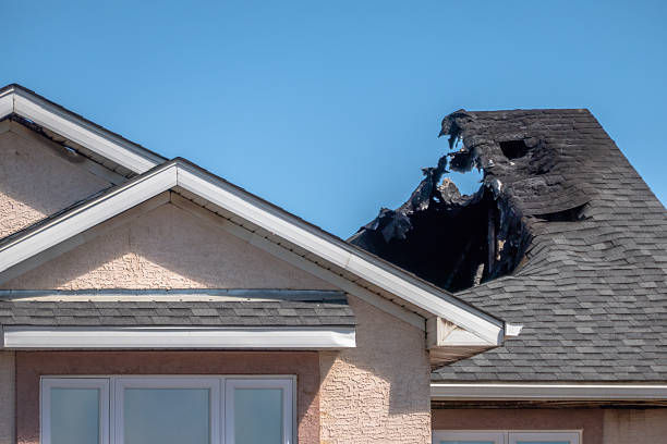 Top rated local Fire Damage Removal specialists in Masonic Home, KY